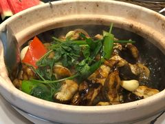 -猪肉婆私房菜(容桂总店)