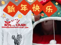 -纳吉亚猫专科动物医院·北北分院