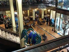 -more than meow吴止猫主题餐厅(承德 中船汇店)