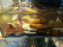 -烧货·活海鲜炭烧(湖滨商业街店)
