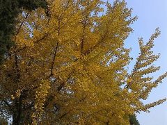 android_upload_pic-辽宁大学(崇山校区)