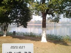 -沙湖公园