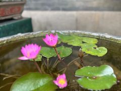 -叶问纪念馆