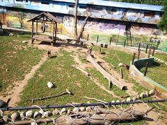 -西安秦岭野生动物园