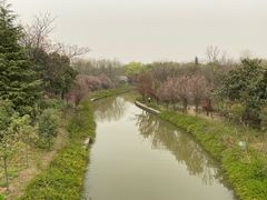 -洛阳市隋唐城遗址植物园