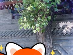 -湘子庙