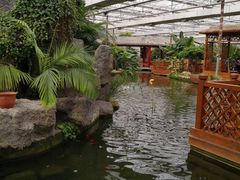 -汤山翠谷生态餐厅