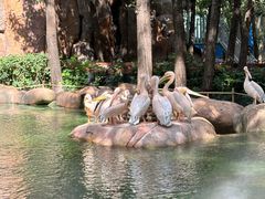 -北京野生动物园