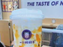 -一只酸奶牛(摩根吾悦广场店)