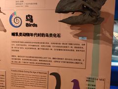 -正佳自然科学博物馆