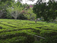 -广东茂名森林公园