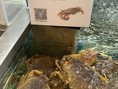 -盒马鲜生(大成店)