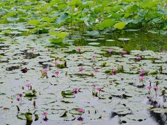 -烈士陵园(地铁站)