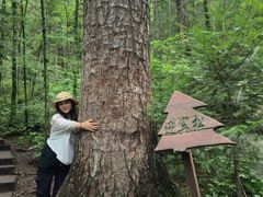 -茅兰沟国家森林公园