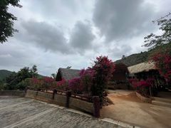 -海南槟榔谷黎苗文化旅游区
