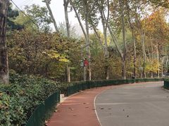 -西安市长乐公园