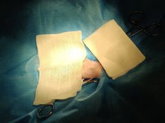 -菲尔斯特宠物医院