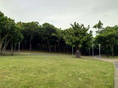 -深圳湾公园(南山区)