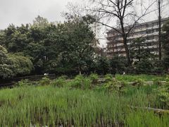 -成都市活水公园