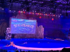 -华夏文旅海洋公园