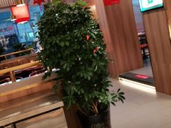 -刘一锅筋头巴脑(王府井店)