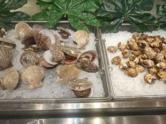 -冀粤香海鲜自助餐厅(西美五洲店)