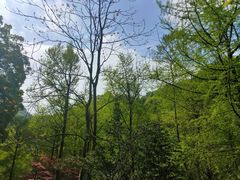 -青城山