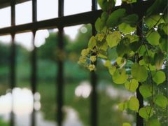 -人民公园(罗湖区)