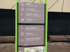 -南京眼步行桥