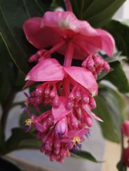 -酉嘉瑜伽YO+YOGA