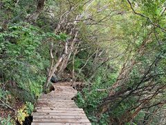 -白草畔自然风景区