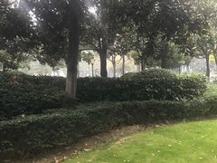 -常州古运河南大街文化旅游区-人民公园