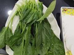 -芦月轩羊蝎子(太平桥店)