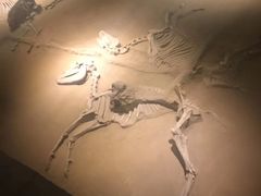 -洛阳周王城天子驾六博物馆