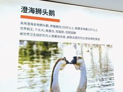 -陆记鹅庄·潮汕菜·狮头鹅(大仟里店)