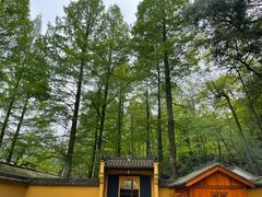 -九华山风景区