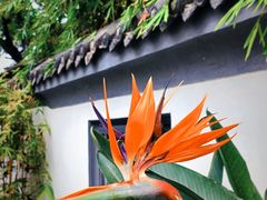 -成都市文化公园