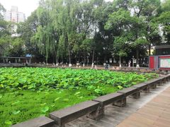 -四川大学(望江校区)