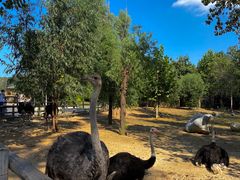 -大连森林动物园