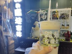 -猫的魔法密林(衣裳街店)