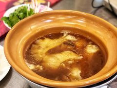 -大中鱼翅 Taitong Shark Fin