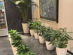 -黑松白鹿(金融街店)