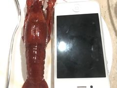 -上海外滩雅致酒店