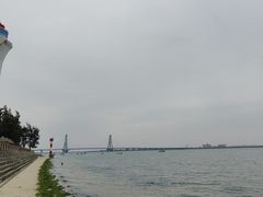 -北海金海湾红树林生态旅游区