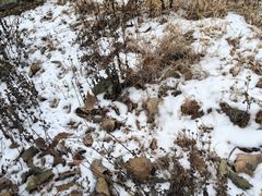 -皇城根遗址公园-东安门遗址