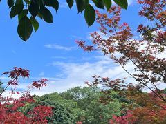 -广州市帽峰山景区