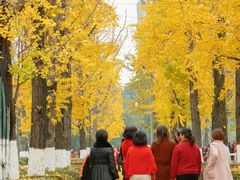 -百林公园-两江幸福广场