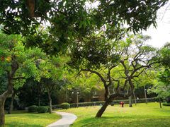 -晓港公园