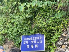 -上海佘山国家森林公园西佘山园