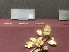 -兴隆文化园景区-兖州博物馆